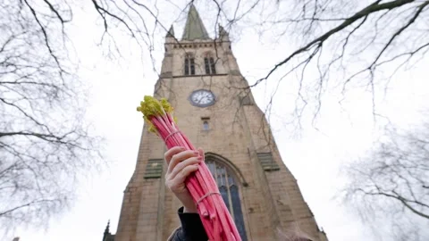 Rhubarb held up in front of cathedral 스톡 동영상 233711992