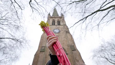 Rhubarb held up in front of cathedral 스톡 동영상 233712011