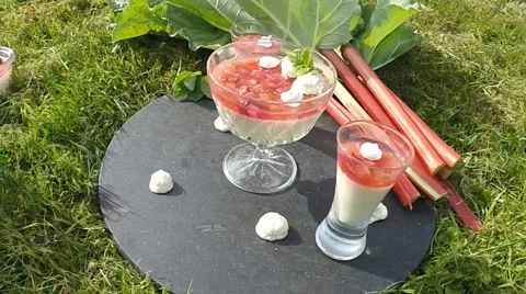 Rhubarb pannacotta Stock Footage 51020223