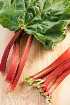 Rhubarb Stock Photos