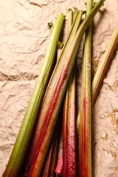 Rhubarb Stock Photos