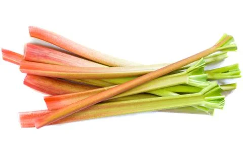 Rhubarb Stock Photos
