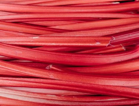 Rhubarb Stock Photos