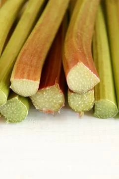 Rhubarb stems Stock Photos