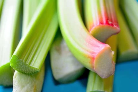 Rhubarbs stems macro 库存照片