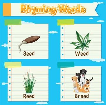Rhyming Words Educational Chart Stock Illustration