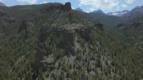 Rhyolite Cliffs and Pine Forest in Shoshone Canyon Wyoming Stock Footage 336745990
