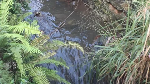 The Rhythm of River Water Stock Footage 277061892