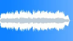 Rhythmic background music, uplifting ethnic beat with strings and vocals Stock Music