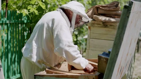 Rhythmic buzzing bees beekeepers distinctive attire meticulously harvest honey Video stock 274850011