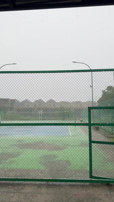 The rhythmic descent of precipitation on a verdant outdoor surface viewed 库存影片 337288317