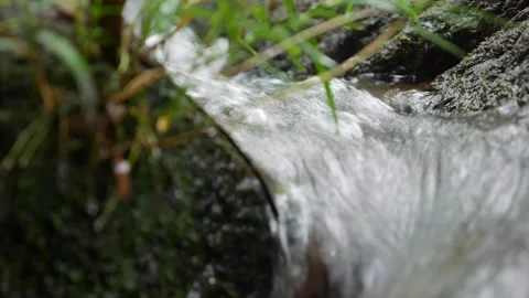 The rhythmic flow of a cascading stream echoes through the woodland. Water moves Stock Footage 312111026