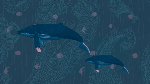 Rhythmic Whales 库存影片 95361331