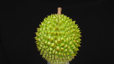 Ri6 durian rotating 360 degrees on black studio background. 库存影片 334336508