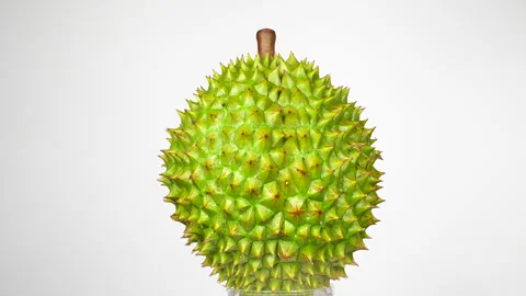Ri6 durian rotating 360 degrees on black studio background. Vídeos de archivo 334543757