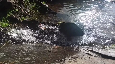 Riachuelo, cascada Video stock 153439605