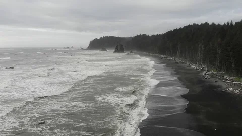 Rialto Beach and the Pacific Ocean in Washington (4k) Stock Footage 116215053