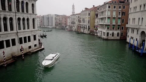 Rialto Bridge Video stock 144289555