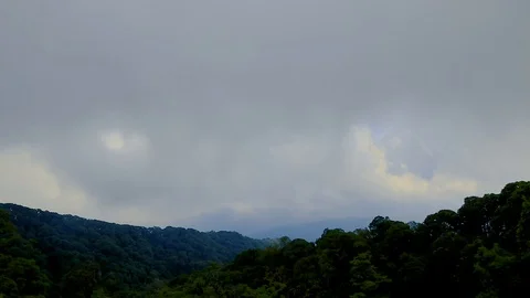 Rian clouds and green forest Video stock 97207118