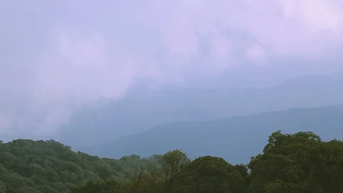 Rian clouds and green forest Stock Footage 97207152