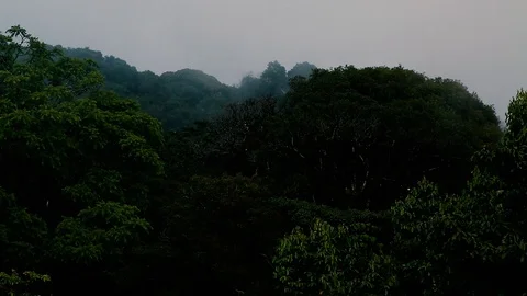 Rian clouds and green forest Stock Footage 97207183