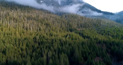 Riase through light snow towards mountain Stock Footage 91470684