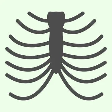 Rib cage skeleton solid icon. Human thorax x-ray glyph style pictogram on white Stock Illustration