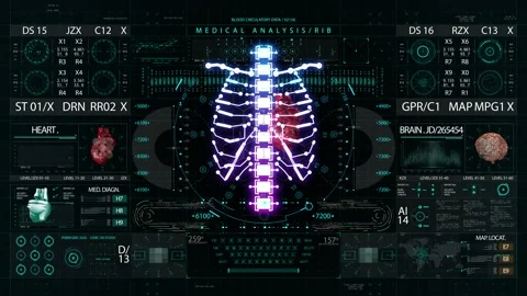 Rib skeleton medical HUD interface display Stock Footage 172224087