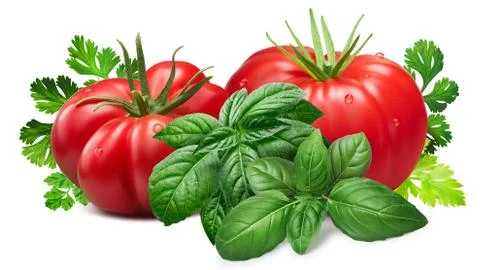 Ribbed tomatoes with herbs, paths Stock Photos
