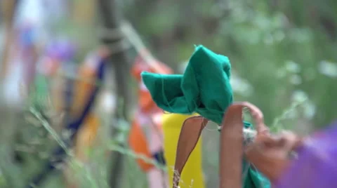 Ribbon in a garden Stock Footage 50376737