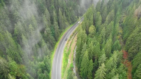 Ribbon of highway cuts through the trees. Carpathian Mountains of Ukraine Stock Footage 105319824