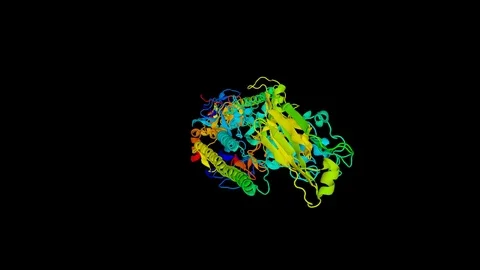 A ribbon model of molecules of protein p53 binding to a strand of DNA. Vidéo 76225942