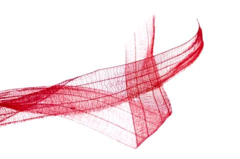 Ribbon Stock Photos