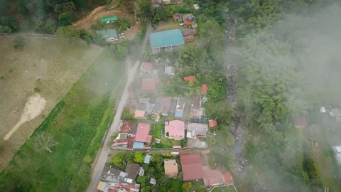 Ribbon Settlement Striped with Variegated Rooftops Bisecting Wooded Slopes Video stock 316860412