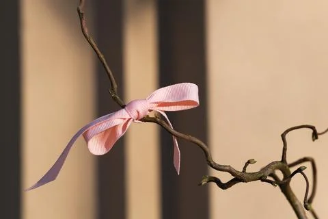 Ribbon on a tree Stock Photos