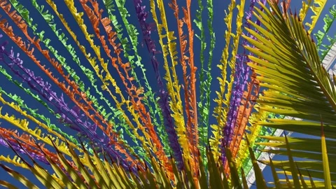 Ribbons decorating the street in front of the blue sky and palm leaves. 4K Stock Footage 201083411