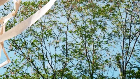 Ribbons Fluttering In The Wind Stock Footage 98564659