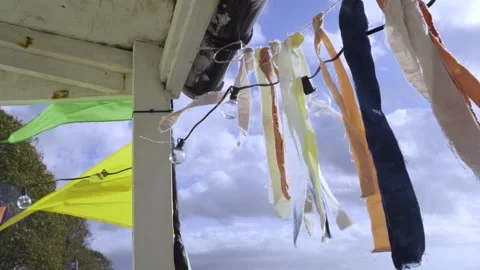 Ribbons in the wind 1 Stock Footage 229579044