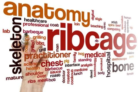 Ribcage word cloud Stock Illustration