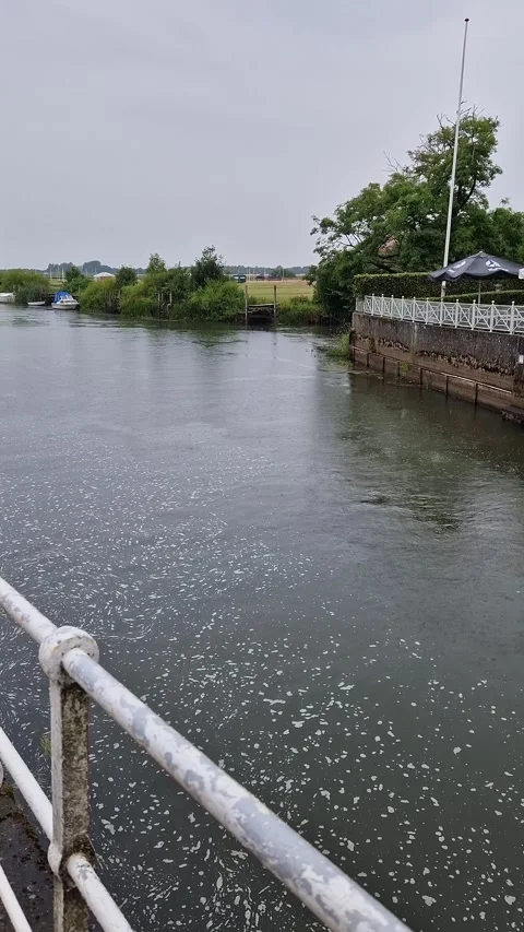 Ribe River View from Bridge with White Railing and Marina, Ribe, Denmark Stock Footage 333896552