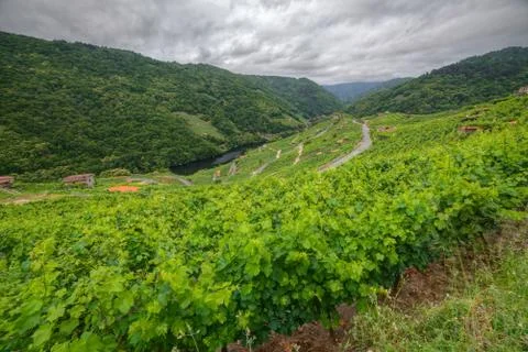 The Ribeira Sacra from Chantada Stock Photos