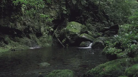 "Ribeiro Bonito" waterfall at the end of a "levada" footpath (Levada do Rei) Stock Footage 119960994