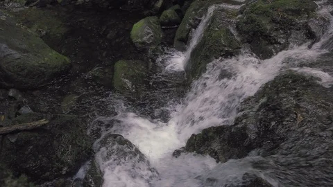 "Ribeiro Bonito" waterfall at the end of a "levada" footpath (Levada do Rei) Stock Footage 119961593