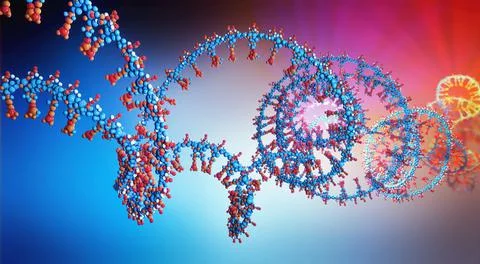 Ribonicleic acid chain from which the deoxyribonucleic acid or DNA is composed Stock Illustration