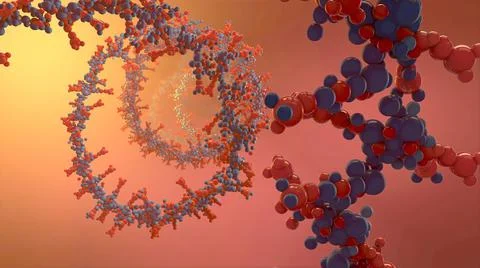 Ribonicleic acid chain from which the deoxyribonucleic acid or DNA is compose Stock Illustration