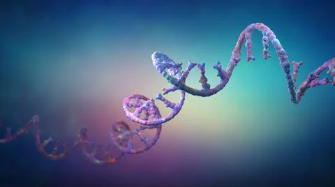 Ribonucleic acid strands consisting of nucleotides - 3d illustration Stock Illustration