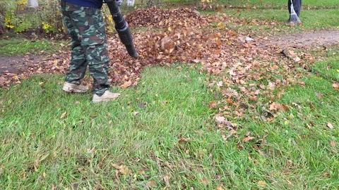 Ribor blower producing air flow for cleaning foliage debris Stock Footage 219972035