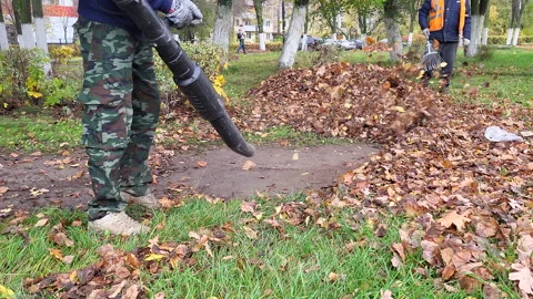Ribor blower producing air flow for cleaning foliage debris Stock Footage 219974831
