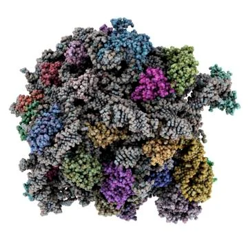 Ribosomal subunit, molecular model Stock Illustration