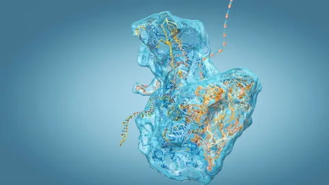 Ribosome as part of an biological cell constructing messenger rna molecule .. 動画素材 253299671